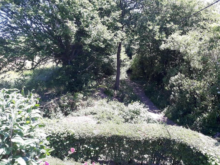 וורבירס Studio Au Jardin Fleuri מראה חיצוני תמונה